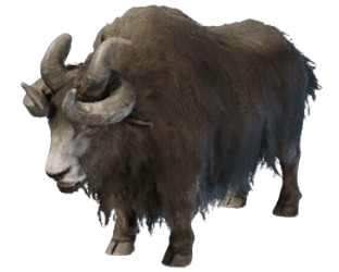 A dark brown yak with four horns from Enshrouded.