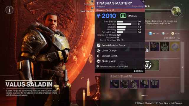 Tinasha's Mastery god roll in Destiny 2