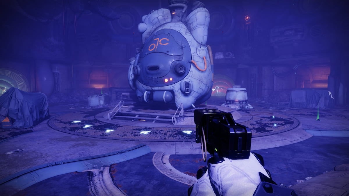 Destiny 2 player standing in front of the cryo-chamber in Destiny 2