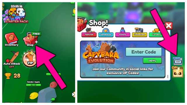 How to redeem Capybara Evolution codes.