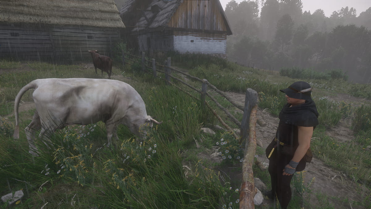 How to complete Mice in Kingdom Come 2