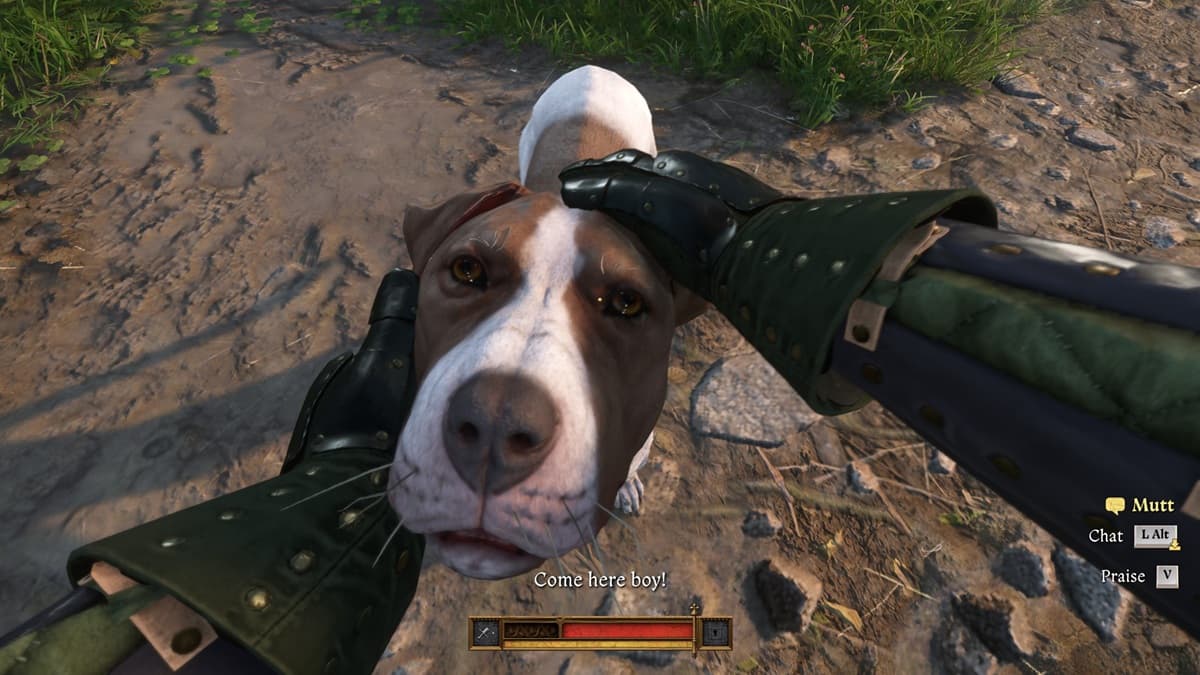 Player character petting their dog with gloved hands standing on a muddy terrain in Kingdom Come Deliverance 2