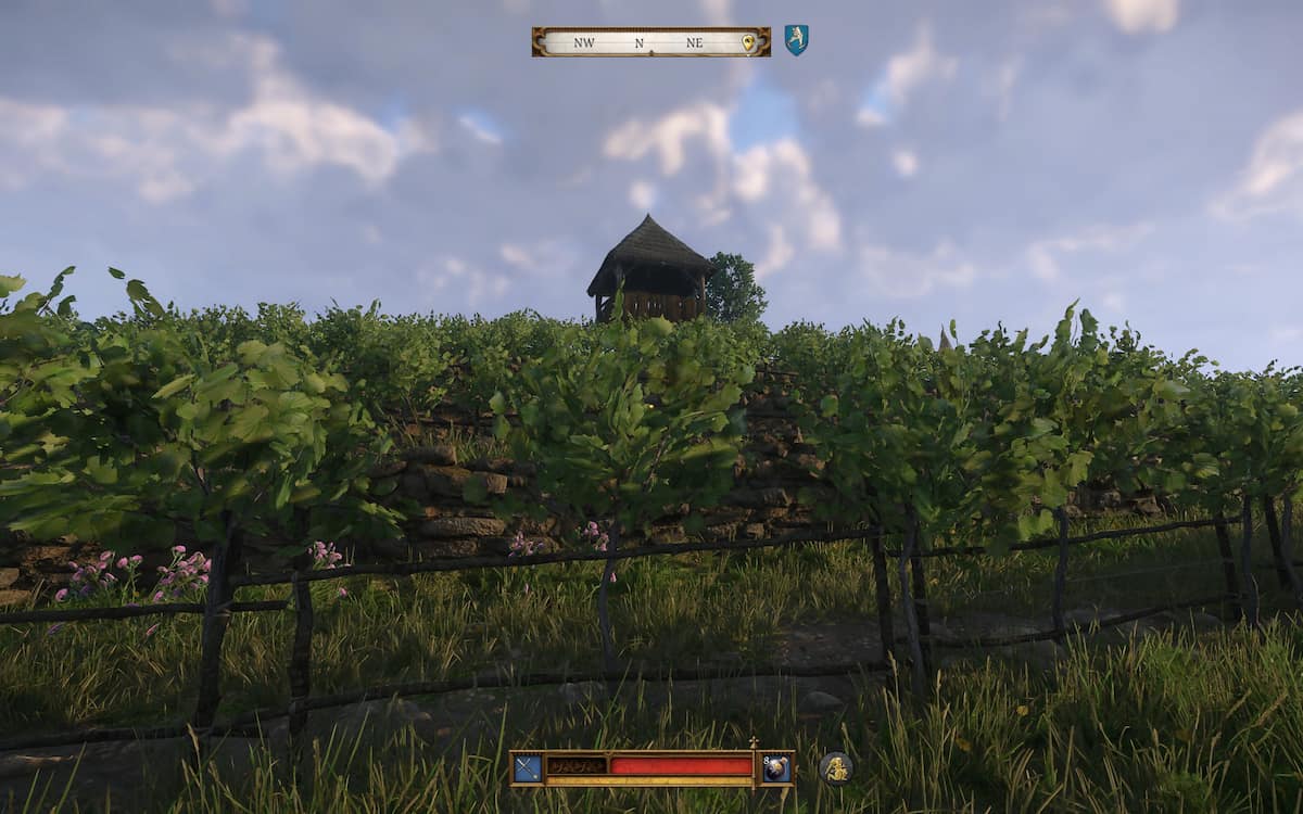 Vineyard with several crops growing against a daytime sky with a building in the background