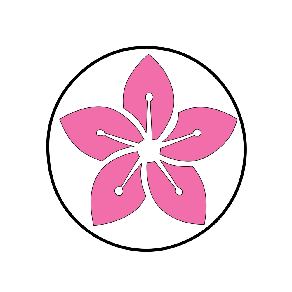 Picture showing the Healer Family logo in Ninja Time.