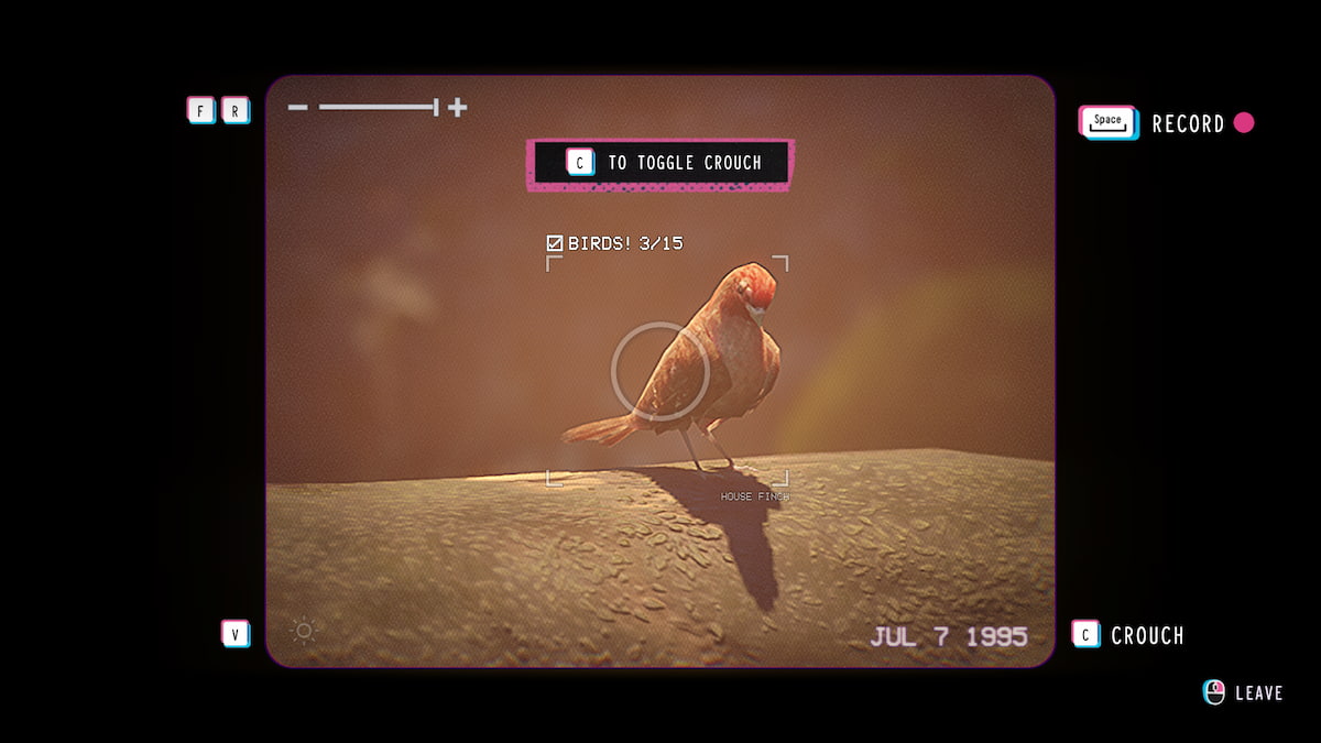 capturing a bird collectible