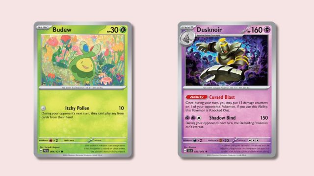 Budew and Dusknoir Pokemon cards on a pink background.