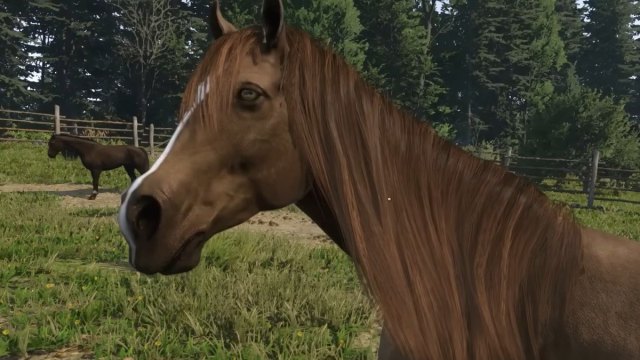 kingdom come deliverance 2 light brown horse with long maine kaztanka face close up