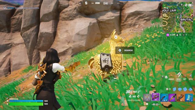 A player in Fortnite looking towards a Golden Llama.
