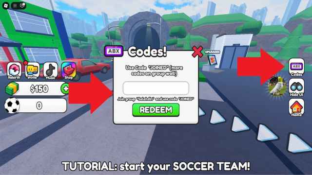 How to redeem Own a Soccer Team and Prove Mom Wrong codes.