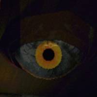 Peeper close up shot in R.E.P.O.