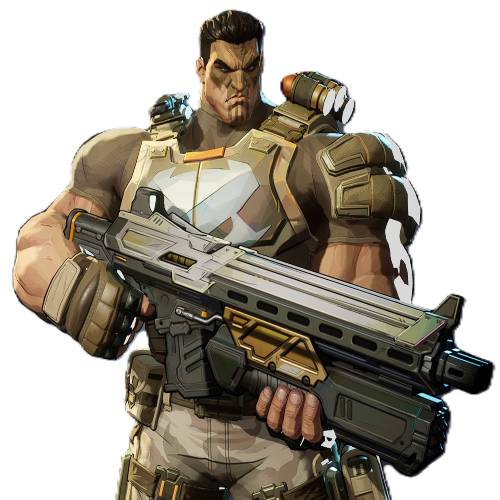 The Punisher Camo skin