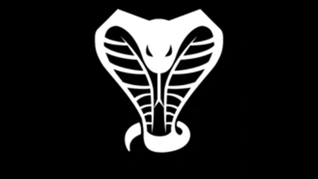 Fortnite's cobra black and white banner.