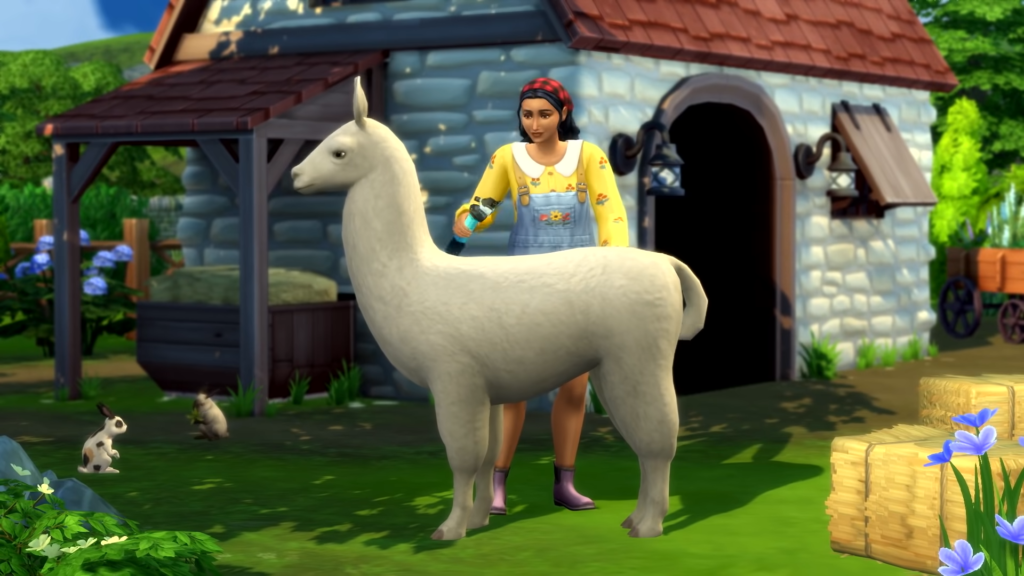 A sim shearing a Llama. 